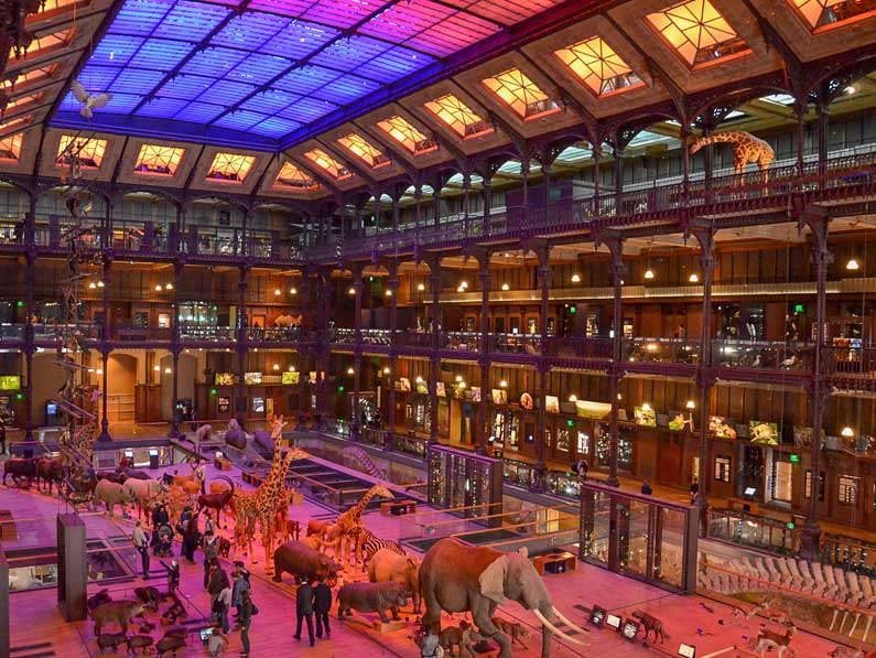 Muséum d’Histoire naturelle – Grande Galerie de l’Évolution
